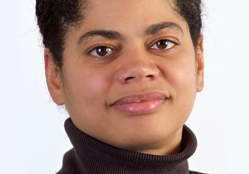 Dr.-Ing. Dehla Sokenou